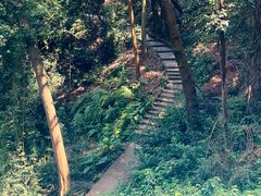 -广州市帽峰山景区