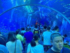 -成都浩海立方海洋公园