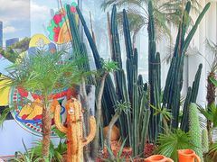 -Taco Mama嗒蔻妈妈墨西哥餐厅(环宇城店)