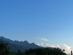 -都江堰石锅鱼