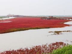 -红海滩国家风景廊道