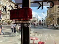 景观位-Cafe Sacher(WIEN)