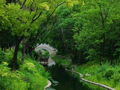 -北坞公园