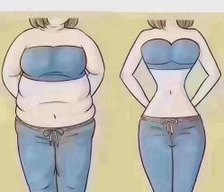 -香薇妮丝女子减肥院