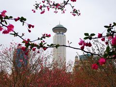 -人民广场