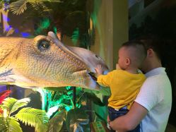 -恐龙探索乐园(磁器口店)