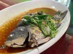 -绿雅居原生态农庄(小涌店)