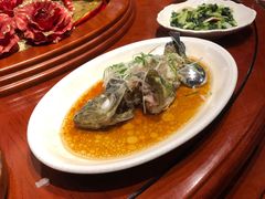 -厦门渔港(成山路店)