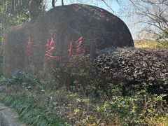 -杭州湖滨in77