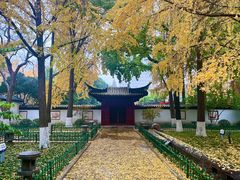-郑和公园