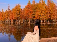 -白鹭湾湿地公园