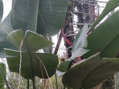 -田园印象·成都土菜院子(华阳店)