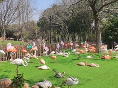 -上海野生动物园