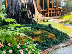 -Chom Cafe and Restaurant
