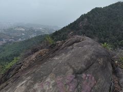 -南山植物园