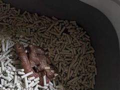 -辛巴宠物医疗中心·骨科·内分泌专科·心肾专科(亭林公园店)
