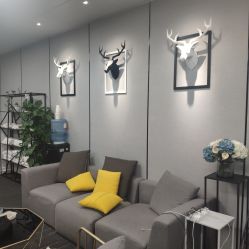 -MJ skin care国际皮肤管理中心