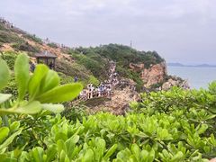 -杨梅坑