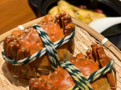 大闸蟹-丫丫蟹庄·苏式园林农家乐·阳澄湖大闸蟹(阳澄湖莲花岛店)