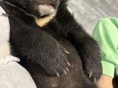 -西霞口神雕山野生动物世界