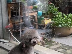 -EVA咖啡小酒馆