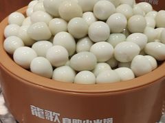 -龍歌自助小火锅(李沧丽达店)
