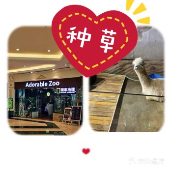一起来打卡有趣的室内动物园