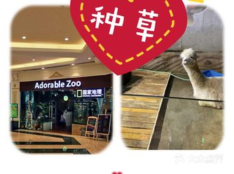 一起来打卡有趣的室内动物园