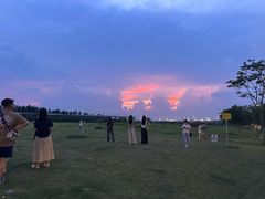 -宝安西湾红树林湿地公园