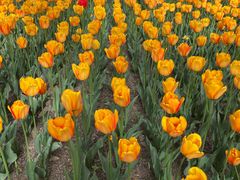 -西宁市人民公园(城西区)