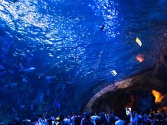 -珠海横琴国家地理探险家中心(创新方)