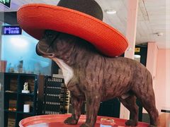 -百好乐宠物友好餐厅(朝外大街店)