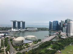 -新加坡瑞士史丹福酒店