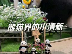 -杭州动物园