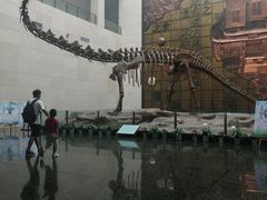 -衢州市博物馆