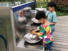 -昆山城市生态森林公园