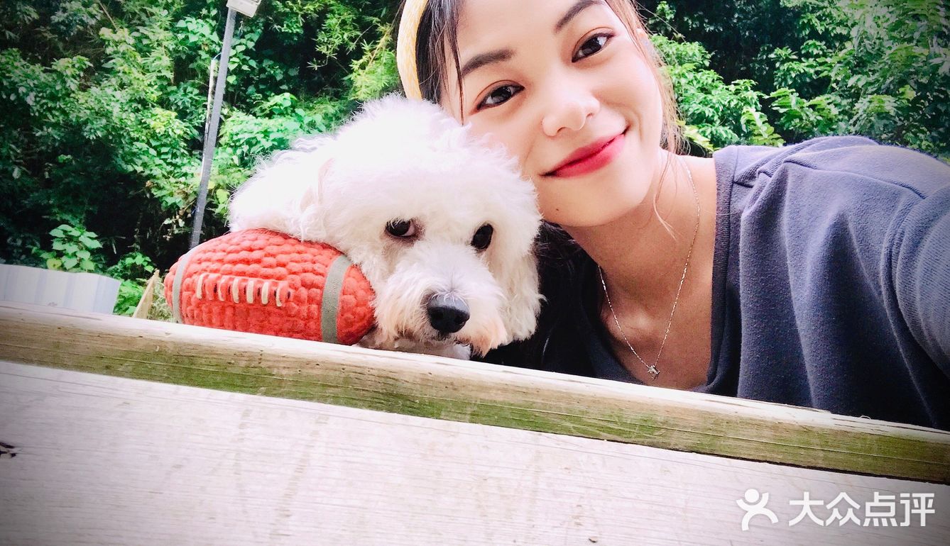 萌宠 | 妞妞和小伙伴们爱去的宠物乐园