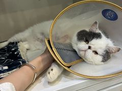 -萌兽医馆·眼科·异宠专科(三里屯店)