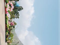 -珠海长隆海洋王国
