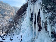 -少华山国家森林公园