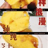 100天早餐打卡 Day60 纯纯芝士蛋糕