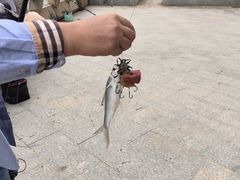 -长洲岛