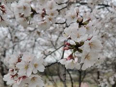 -苏州上方山国家森林公园