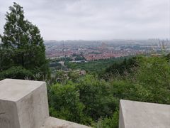 -府君山公园