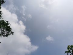 -御林古桑园