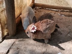 -武汉紫薇都市田园