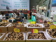 -重庆国际会议展览中心