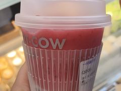 -一只酸奶牛(洪崖洞11楼店)