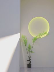 -VE专注问题肌·赛诺龙&科学美肤中心