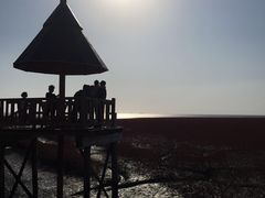 -红海滩国家风景廊道